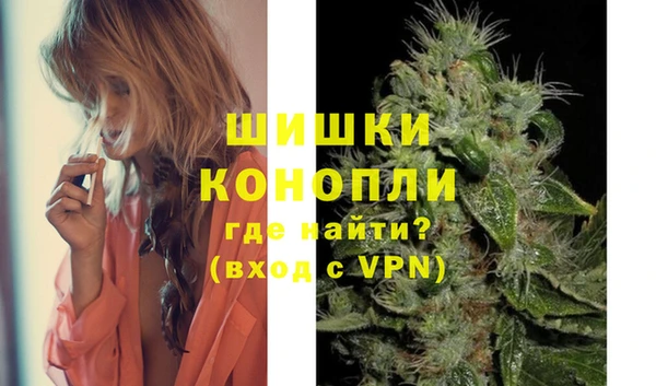 шишки Алексин
