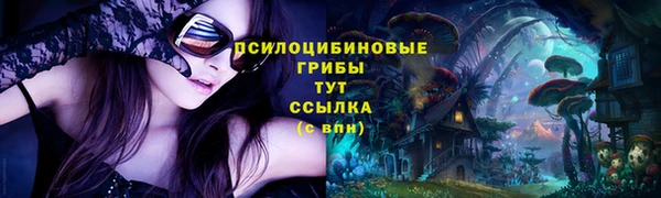 соль курить ск Алексеевка