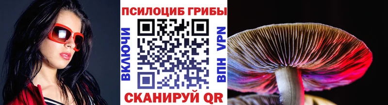Псилоцибиновые грибы MAGIC MUSHROOMS  цена наркотик  Орехово-Зуево 
